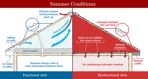 Summer Conditions
