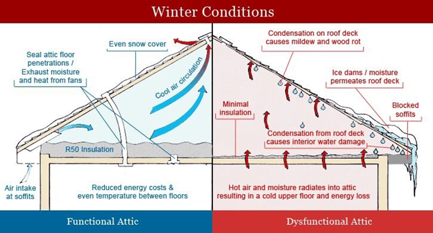 Winter Conditions